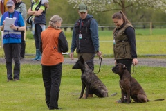 250503-Hundepruefungen_IMG_2541