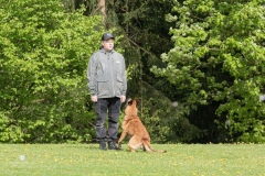 250503-Hundepruefungen_IMG_2750