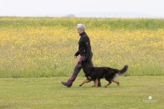 250503-Hundepruefungen_IMG_2913