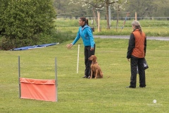 250503-Hundepruefungen_IMG_2960