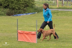 250503-Hundepruefungen_IMG_2979