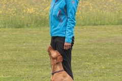 250503-Hundepruefungen_IMG_2984