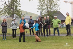 250503-Hundepruefungen_IMG_2986