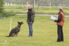 250503-Hundepruefungen_IMG_3014