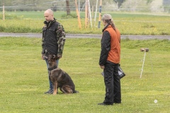 250503-Hundepruefungen_IMG_3015