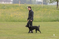 250503-Hundepruefungen_IMG_3022
