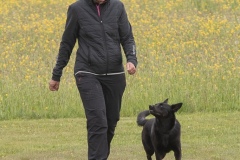 250503-Hundepruefungen_IMG_3027