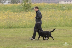 250503-Hundepruefungen_IMG_3029
