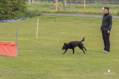 250503-Hundepruefungen_IMG_3043
