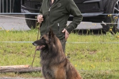 250503-Hundepruefungen_IMG_3050