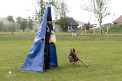 250503-Hundepruefungen_IMG_3242