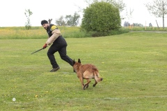 250503-Hundepruefungen_IMG_3268