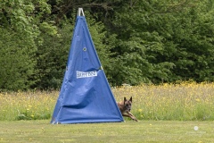 250503-Hundepruefungen_IMG_3357