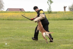 250503-Hundepruefungen_IMG_3387
