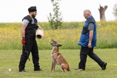 250503-Hundepruefungen_IMG_3412