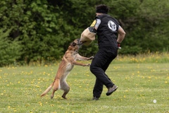 250503-Hundepruefungen_IMG_3419