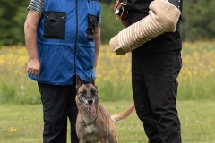 250503-Hundepruefungen_IMG_3437
