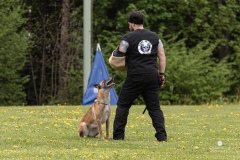 250503-Hundepruefungen_IMG_3457