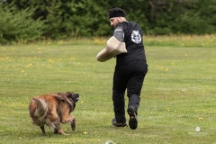 250503-Hundepruefungen_IMG_3478