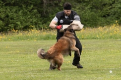 250503-Hundepruefungen_IMG_3486