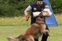 250503-Hundepruefungen_IMG_3489