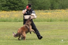 250503-Hundepruefungen_IMG_3492