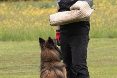 250503-Hundepruefungen_IMG_3493