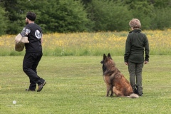 250503-Hundepruefungen_IMG_3497