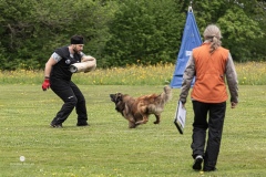 250503-Hundepruefungen_IMG_3501