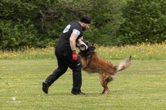250503-Hundepruefungen_IMG_3502