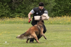 250503-Hundepruefungen_IMG_3506