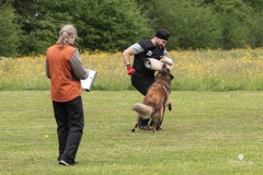 250503-Hundepruefungen_IMG_3510