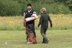 250503-Hundepruefungen_IMG_3515