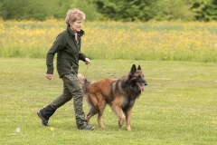250503-Hundepruefungen_IMG_3528