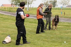 250503-Hundepruefungen_IMG_3535